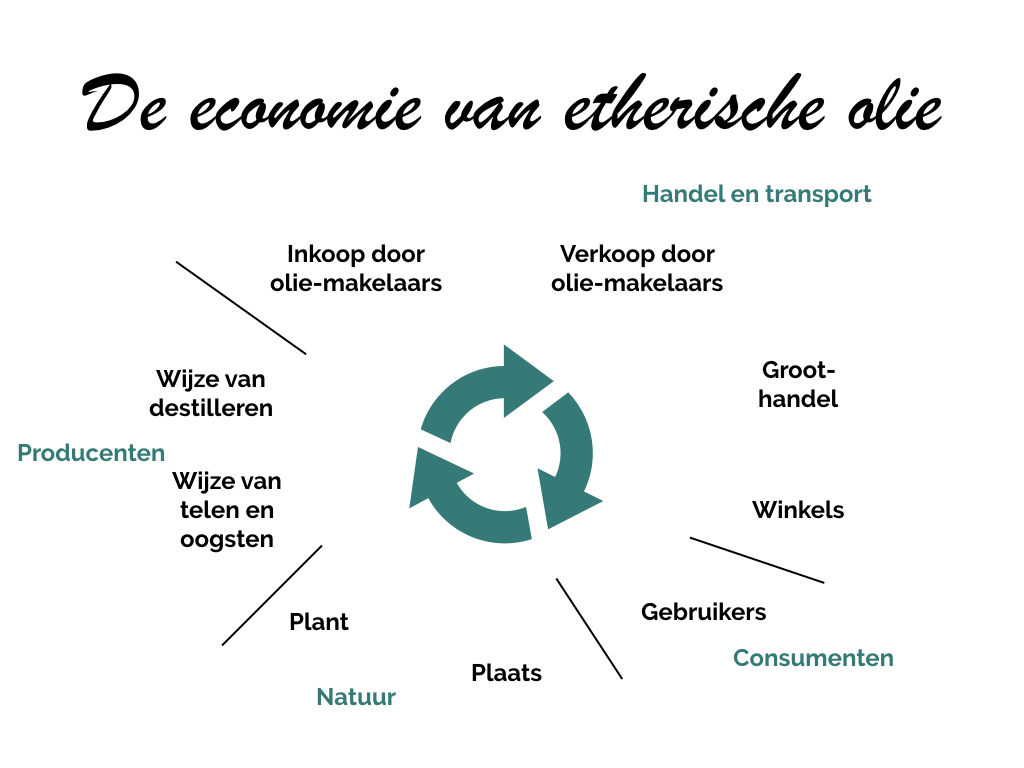 vluchtige aromatische verbindingen in lavendel-olie